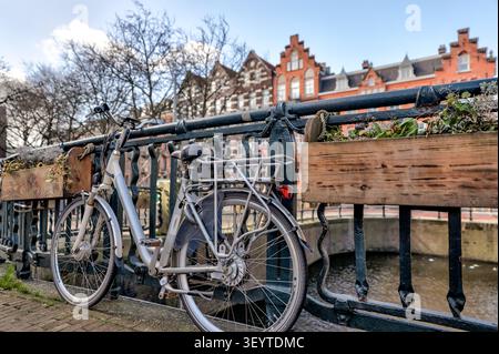 Vélos verrouillés à côté d'un canal d'Amsterdam dans le centre historique de la ville d'Amsterdam, Pays-Bas. Banque D'Images