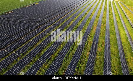 Des rangées de panneaux solaires sur une grande ferme, transformant la lumière du soleil en électricité pour une production d'énergie moderne et durable Banque D'Images