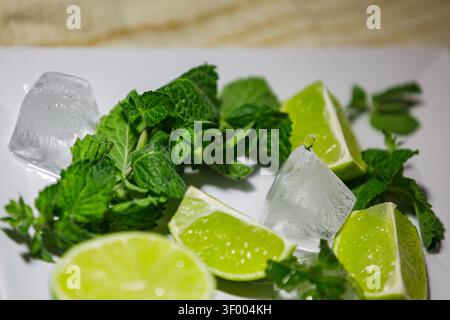Une photographie rapprochée de quartiers de citron vert frais, tranchés, de brins de menthe vert vif et de glaçons cristallins disposés sur une plaque de céramique carrée blanche, R Banque D'Images