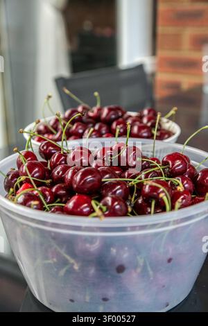 Deux grands bols remplis de cerises rouges mûres fraîchement cueillies, un fruit de saison couramment récolté au Royaume-Uni en juillet. Banque D'Images