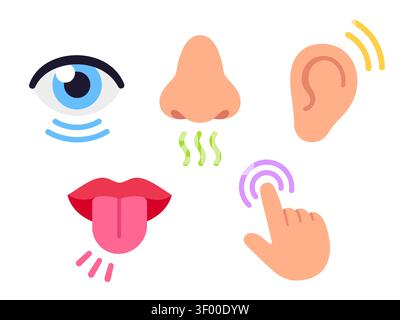 Ensemble d'icônes des cinq sens humains : vue, odorat, ouïe, toucher, goût. Illustration vectorielle de dessin animé plat simple et minimale. Illustration de Vecteur