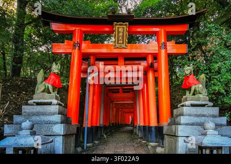 Vue de face d'une porte torii d'un sanctuaire shinto à Kyoto, au Japon, encadrée par des lanternes en pierre et entourée de verdure forestière. Banque D'Images