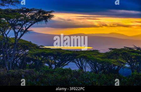 Vue lointaine du lac Magadi depuis le bord du cratère Ngorongoro en Tanzanie, avec des collines superposées, des acacia et une lumière chaude du coucher de soleil illuminant l'AF Banque D'Images