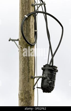 Fermeture d'épissure de fibre optique suspendue ou collecteur sur poteau de service en bois. Boîtier de raccordement du réseau FTTP (fibre to the Premises), offrant une vitesse élevée Banque D'Images
