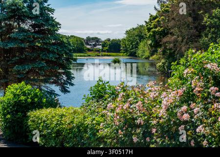 Keptie Pond à Arbroath, Angus, Écosse Banque D'Images