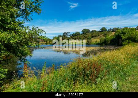 Keptie Pond à Arbroath, Angus, Écosse Banque D'Images