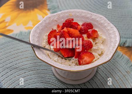 Fromage cottage frais servi avec des tranches de fraises juteuses dans un bol décoratif, créant un petit déjeuner ou un dessert d'été sain et nutritif. Banque D'Images