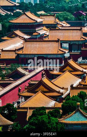 Pékin, Chine - 6 juillet 2026 : Vue en téléobjectif des toits dorés de la Cité interdite depuis le parc Jingshan Banque D'Images