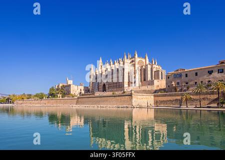 Vue panoramique à la cathédrale de Palma avec des reflets d'eau une journée d'été ensoleillée Banque D'Images