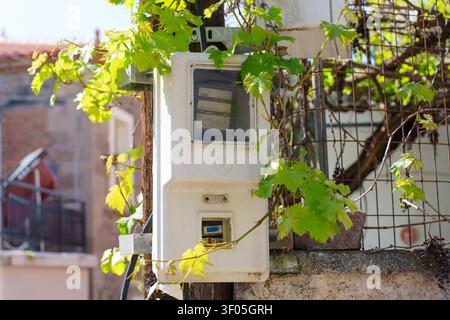 Lesbos, Grèce - 23 avril 2026 : le boîtier du compteur d'électricité monté sur un poteau en bois est envahi par des feuilles de vigne vertes vibrantes dans l'histoire Banque D'Images