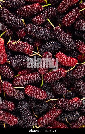 Cadre complet de fruits de mûre frais et biologiques. Des baies saines d'été. Banque D'Images