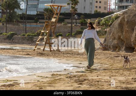 Femme enceinte dans des vêtements décontractés marche un terrier sans poil américain en laisse le long d'une plage de sable, profitant d'une promenade calme en bord de mer avec gent Banque D'Images