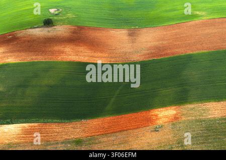 Paysage aérien de terres agricoles cultivées près de Guadalajara, montrant de vastes rangées de cultures vertes et des bandes de sol brun, formant des motifs naturels à travers la rura Banque D'Images