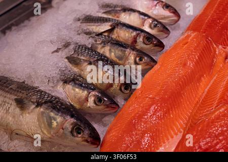 Une exposition colorée de fruits de mer frais dans un supermarché avec des poissons entiers et des filets de saumon posés sur un lit de glace pilée, mettant en valeur la fraîcheur et Banque D'Images