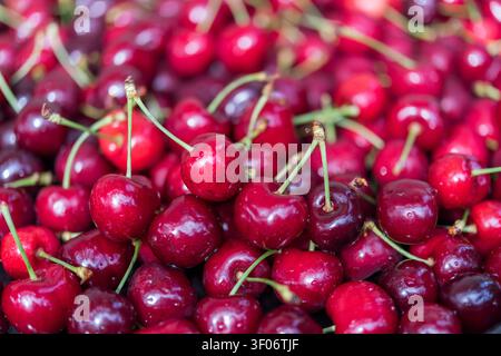 Image macro horizontale de cerises sucrées fraîchement cueillies mettant en avant deux paires de cerises en net focus. Les fruits flous en arrière-plan créent Banque D'Images