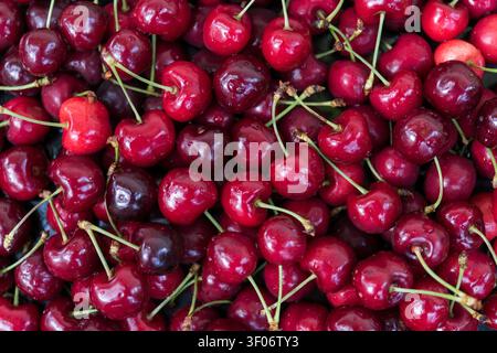 Photographie en plein cadre horizontale de cerises sucrées mûres photographiées de dessus sous la lumière naturelle du jour. L'image crée une texture fruitée colorée adaptée Banque D'Images