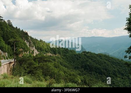Des falaises rocheuses abruptes s'élèvent au-dessus de forêts montagneuses denses sous des nuages d'été dramatiques. La nature sauvage pittoresque met en valeur la beauté accidentée du Monténégro. Banque D'Images