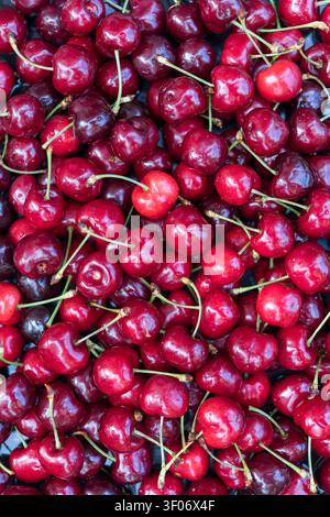 Photographie verticale en vue aérienne de cerises sucrées mûres remplissant le cadre avec des couleurs vibrantes et une texture naturelle. Un fond idéal pour la publicité alimentaire Banque D'Images