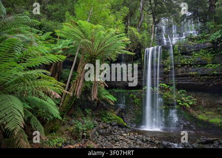 Russell Falls dans le parc national de Mount Field, Tasmanie, Australie. Banque D'Images