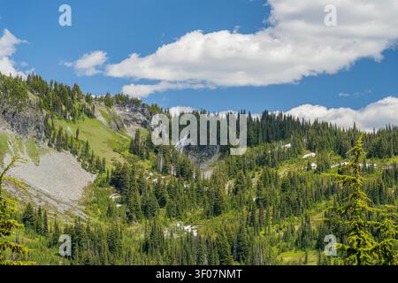 Une pente de montagne luxuriante couverte d'arbres denses à feuilles persistantes et de parcelles de neige dispose d'une petite cascade descendant une falaise rocheuse sous un ciel bleu wi Banque D'Images