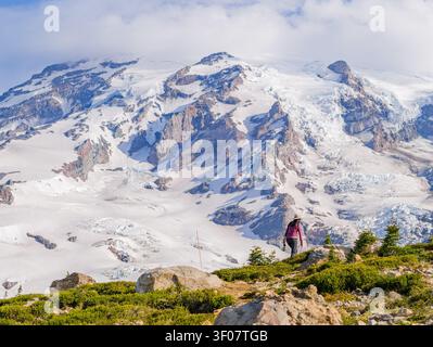 Un randonneur se tient sur une crête herbeuse avec de bas arbustes, regardant les pentes enneigées massives et les glaciers du mont Rainier dans l'État de Washington. Banque D'Images
