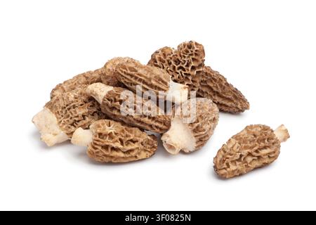 Champignons morilles séchés sur fond blanc Banque D'Images
