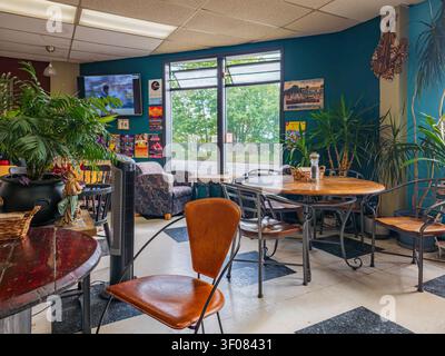 État de Washington, États-Unis, 26 juin 2026 - un intérieur de restaurant confortable avec des tables en bois, des chaises en métal et de grandes plantes en pot contre sarcelle Banque D'Images