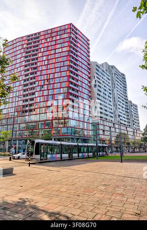 Toures résidentielles modernes à Rotterdam, Sud-Holland, Pays-Bas. Banque D'Images