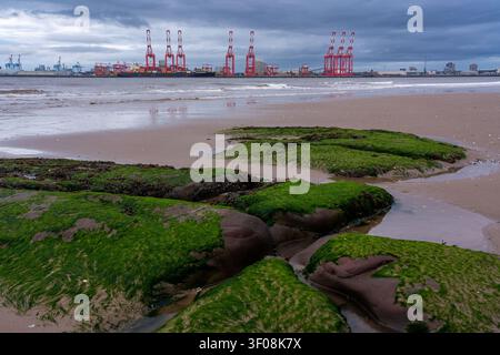 Plage de New Brighton avec des rochers couverts d'algues faisant face aux grues portuaires de Liverpool de l'autre côté de la rivière Mersey Banque D'Images