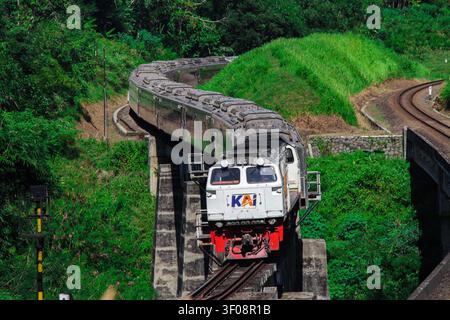 Vue en hauteur d'un long train de passagers indonésien Argo Dwipangga exploité par PT Kereta Api Indonesia (KAI) traversant un pont ferroviaire élevé entouré de collines tropicales luxuriantes à Tumiyang, Purwokerto, Java central, Indonésie. Banque D'Images