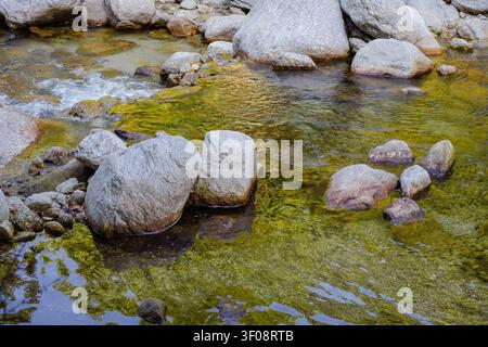 Une vue en contre-plongée de l'eau de montagne claire coulant sur des pierres et des rochers moussus au lac Kareri dans l'Himachal Pradesh. Banque D'Images