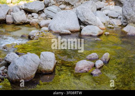 Une vue en contre-plongée d'un ruisseau de montagne clair coulant sur des rochers moussus au lac Kareri à Dharamshala, en Inde. Banque D'Images