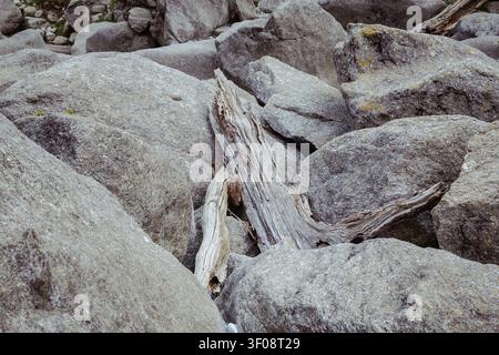 Un gros plan en contre-plongée de rondins de bois flotté usés nichés entre de gros rochers de granit gris au lac Kareri. Banque D'Images