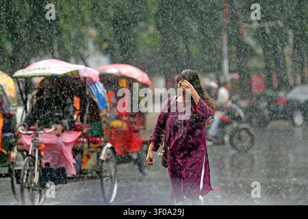 Une femme traverse une forte pluie de mousson sur le campus de l'Université de Dhaka sans parapluie, se protégeant le visage alors que les rickshaws continuent de circuler sous la pluie- Banque D'Images