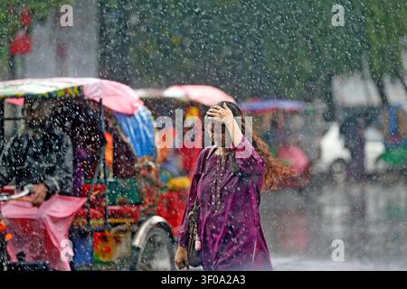 Une femme traverse une forte pluie de mousson sur le campus de l'Université de Dhaka sans parapluie, se protégeant le visage alors que les rickshaws continuent de circuler sous la pluie- Banque D'Images