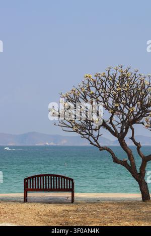 Banc en bois vide et arbre à plumeria en fleurs face à la mer. Vue de l'environnement côtier avec des montagnes au loin et des bateaux pour un éditorial de voyage. Banque D'Images