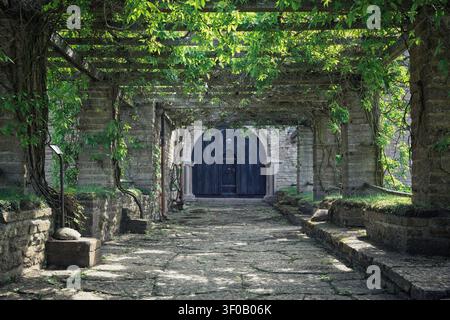 Vreta kloster, Suède - 07.06.2026 : ancienne passerelle en pierre recouverte d'un épais lierre vert menant à une porte en bois arquée sombre sous une pergola ensoleillée en A. Banque D'Images