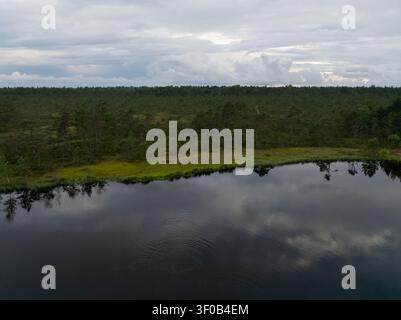 Vue aérienne du lac marais Konnu Suursoo entouré de forêts de pins et de zones humides sous un ciel nuageux dramatique en Estonie. Banque D'Images