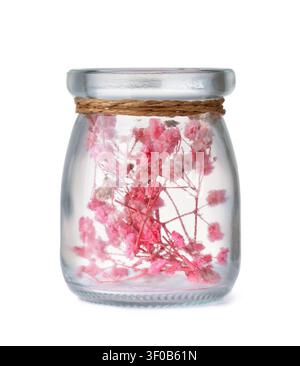 Vue avant de fleurs séchées dans un bocal en verre vintage isolé sur blanc Banque D'Images