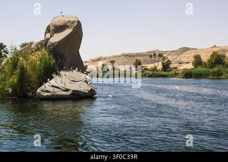 Paysage fluvial du Nil et rochers, Assouan, Haut-Égypte, Égypte Banque D'Images