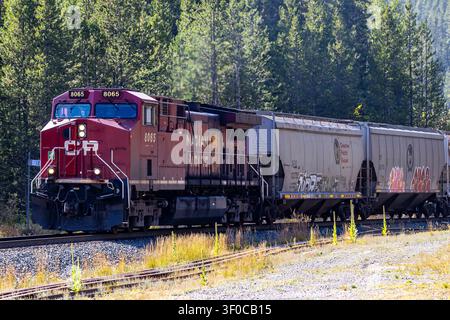 Train de marchandises Canadian Pacific mené par la locomotive 8065 traversant le spectaculaire col de Kicking Horse dans les Rocheuses canadiennes. Vue latérale avant. Banque D'Images