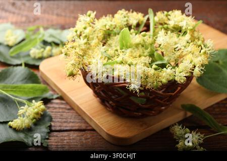 Linden arbre fleurit dans le panier sur la table en bois, gros plan Banque D'Images