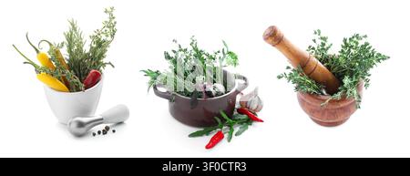 Herbes fraîches et piments dans le mortier et la casserole avec des pilons Banque D'Images