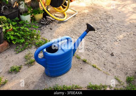 Arrosoir en plastique bleu reposant sur une terrasse en béton avec des plantes à proximité Banque D'Images