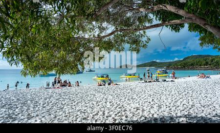 Whitsundays, QLD, Australie – Plage de Whitehaven sur Whitsunday Island Banque D'Images