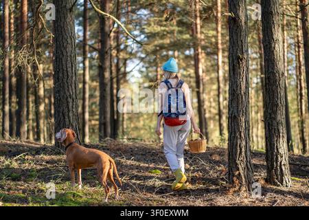 Femme cueilleuse et chien en randonnée dans la forêt, récoltant des champignons naturels et des baies sauvages. Banque D'Images