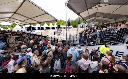 Derby allemand de saut d'obstacles et de dressage 2026 le 17.05.26 à Hambourg, Vue d'ensemble, Arène de dressage Banque D'Images