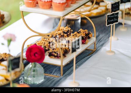 Barres crumble aux fruits rouges variés et cupcakes sur un présentoir à desserts doré à étages Banque D'Images