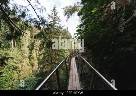 Pont de promenade sur falaise en bois entouré d'une forêt luxuriante et verte Banque D'Images