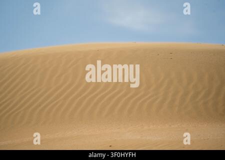 Une dune près d'IJmuiden. La dune dégage une tranquillité. Derrière la dune, un ciel bleu presque clair est visible. Le vent a créé les ondulations dans le sable. Banque D'Images